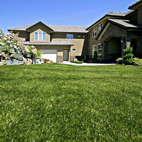 SynLawn Residential Front Yard