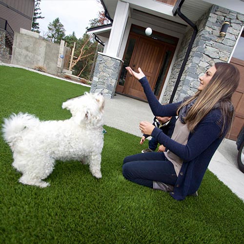 Girl playing ball with pet dog on SynLawn artificial turf