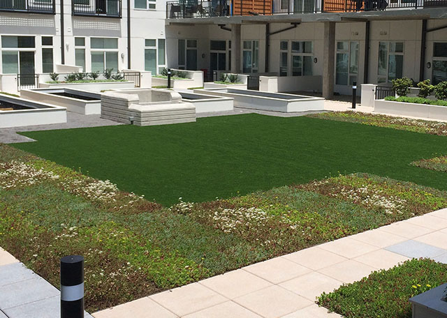 SYNLawn-artificial-grass-commercial-condo-apartment-courtyard-garden